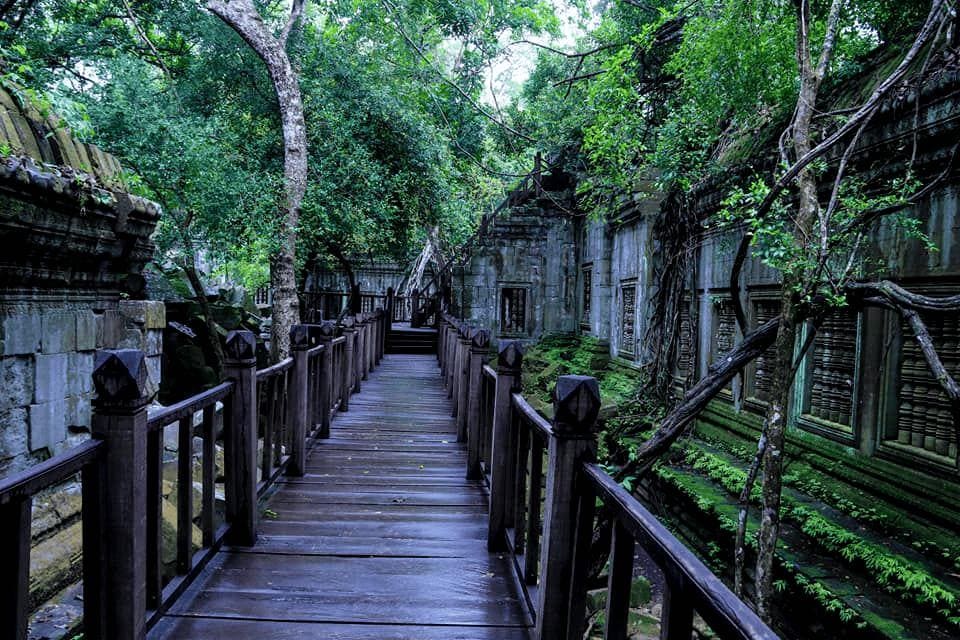 Guardians of the Lake and the Jungle photo 8