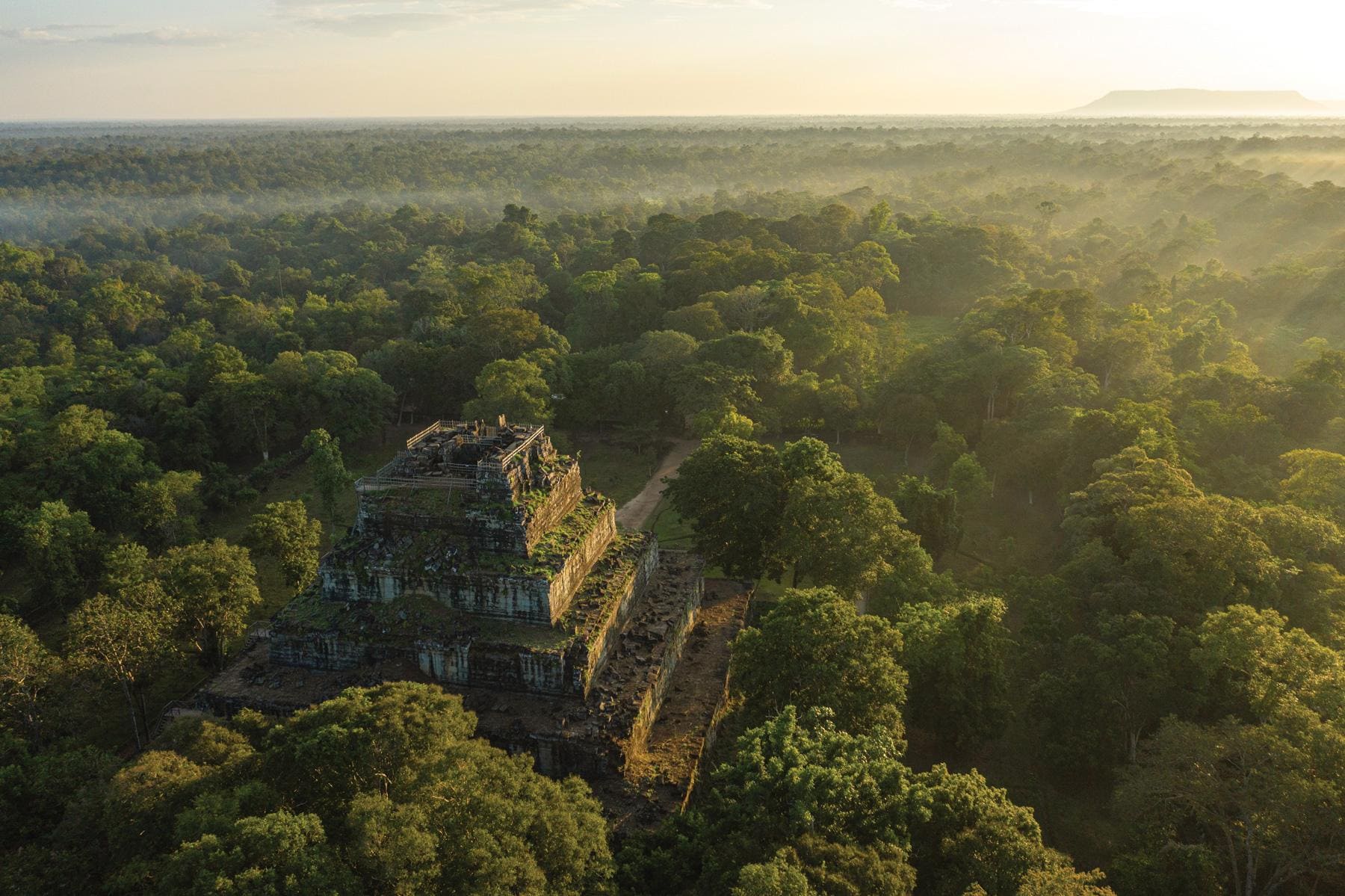 Between Jungle and Pyramid photo 2
