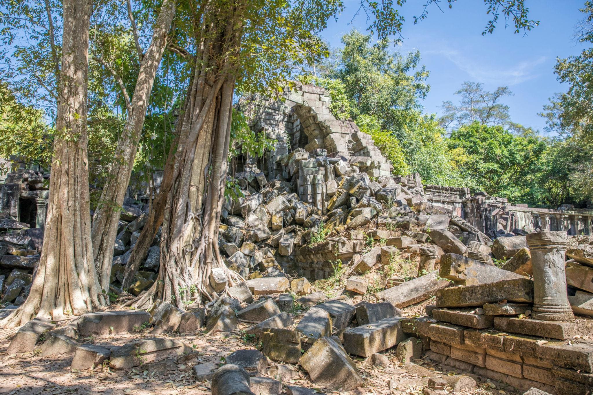 Guardians of the Lake and the Jungle photo 6