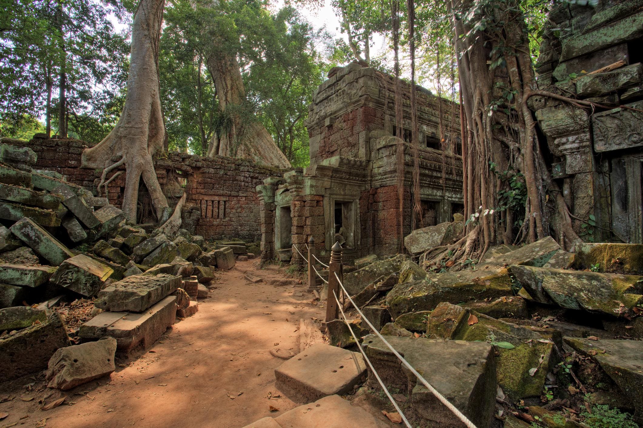 Mystical Dawn at the Temples of Angkor photo 6