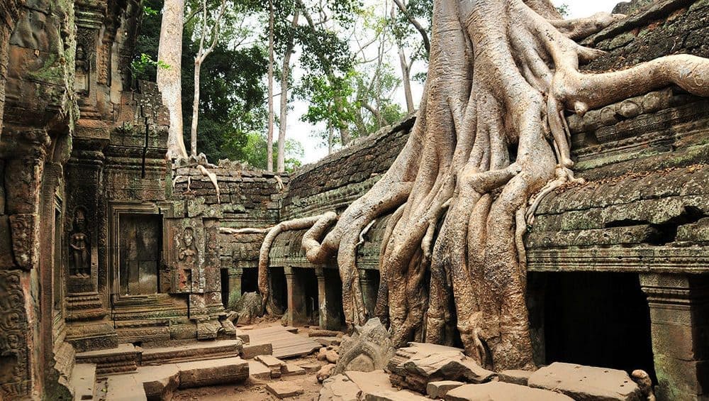 The Hidden Treasures of Angkor Thom & Ta Prohm photo 6