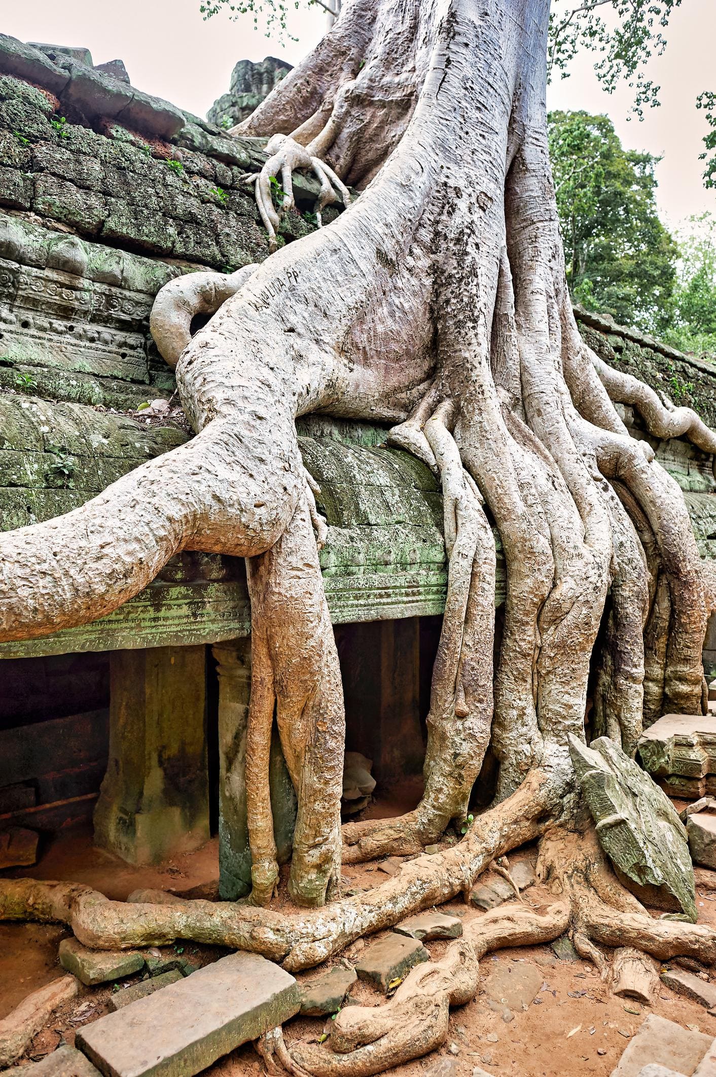 Angkor Immersion: 4 Days of Temples, History & Khmer Culture photo 10