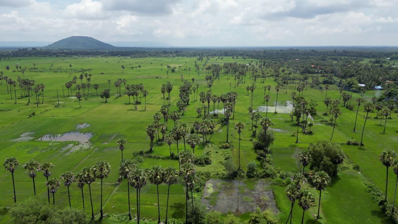 Banteay Srei and the Treasures of Angkor's Grand Circuit photo 4