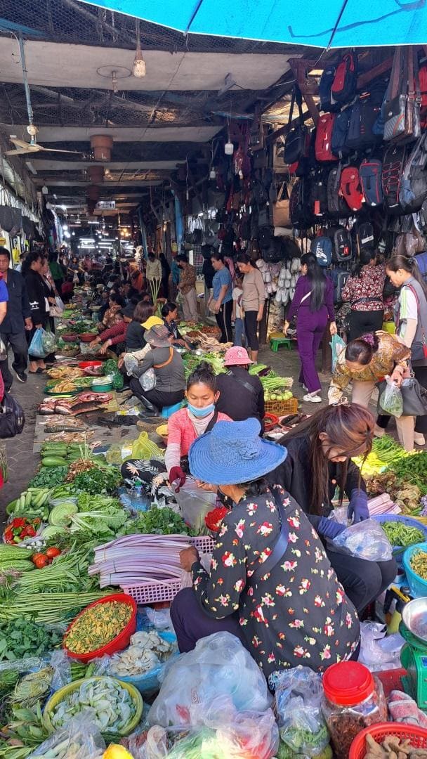 4 Days in the Footsteps of the Khmers: Angkor, Kulen & Kampong Khleang photo 11