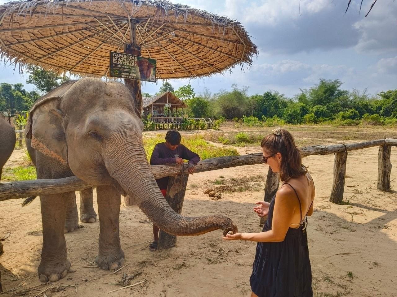 Elephant Home Sanctuary in Muang Thong Sayaboury Laos